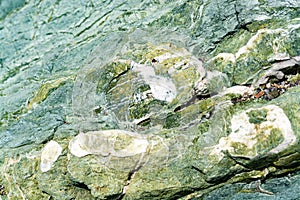 Background with green mineral rock close up, gemstone texture, olivine, amazonite, amphibolite