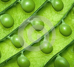 Background of green peas.