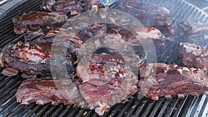 Background Grill, Frying Fresh Meat, Chicken Barbecue,Pork, Ribs, Kebab, Hamburger, BBQ, Barbecue,Josper, Beef. Closeup