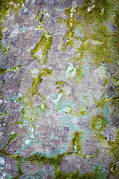 Background - grunge decayed concrete wall