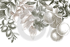 Background with hand drawn nuts on branches