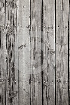 Background from hard wooden plank