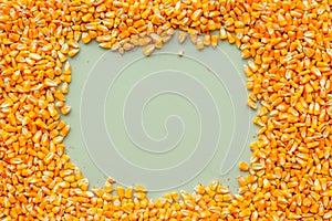 Background of harvested corn kernels with copy space