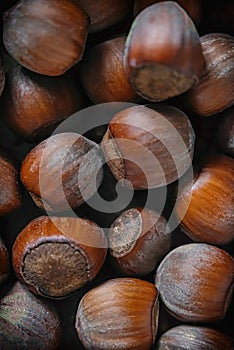 Background from hazelnut hazelnut - hazelnut. Selective, soft focus