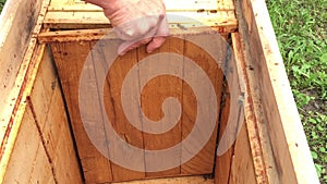 Background hexagon texture, wax honeycomb from bee hive filled with golden honey.