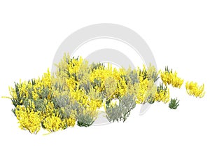 Background illustration of green field of grass with flowers