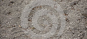 Background image of chalky limestone soil with patterns texture. Difficulties in soil cultivation. Agriculture