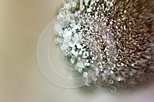 Background, image created by a close-up shot of a ball covered with glitter. abstract