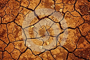 A background image of dried and cracked soil