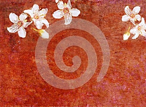 Background image with earthy texture