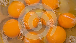 Background image of egg yolk in a bowl