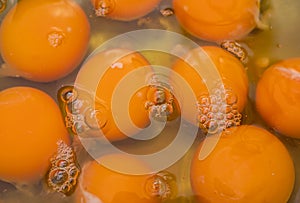 Background image of egg yolk in a bowl