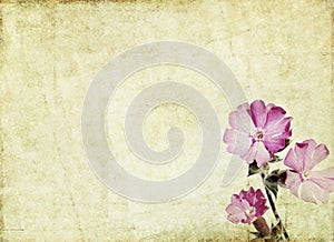 Background image with floral elements