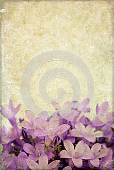 Background image with floral elements