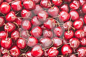 Background image of lying red ripe sweet cherries. Top view, flat lay. Copy space