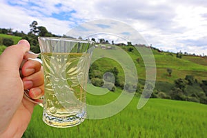 Background image of mountain terraced rice fields holding a cup of tea in the early morning atmosphere.