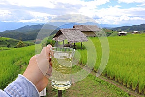 Background image of mountain terraced rice fields holding a cup of tea in the early morning atmosphere.