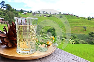 Background image of mountains terraced rice fields Ban Na Pa Bong Piang, Chiang Mai, Thailand.