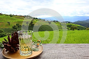 Background image of mountains terraced rice fields Ban Na Pa Bong Piang, Chiang Mai, Thailand.