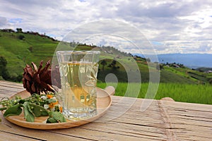 Background image of mountains terraced rice fields Ban Na Pa Bong Piang, Chiang Mai, Thailand.