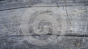 Background image od tree bark