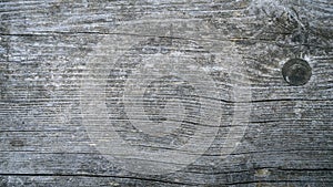 Background image od tree bark