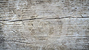 Background image od tree bark