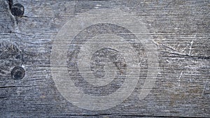 Background image od tree bark