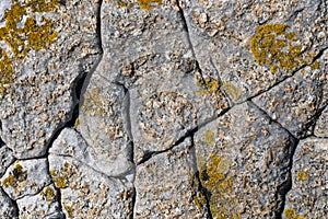 Background image. Texture of natural marble stone with lichen pattern