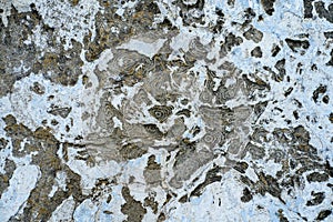 Background image. Texture of old concrete wall