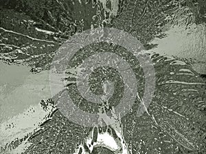 Background image of the top of a young nettle top view