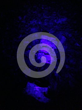 Background image of tree bark and roots. Coronavirus in UV.