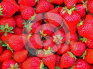 The background image of vivid strawberry