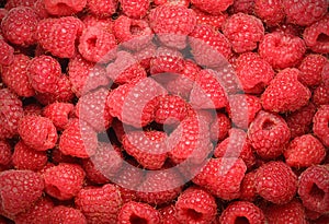 Background of juicy raspberries