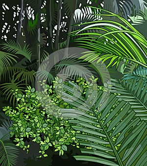 Background jungle of tropical plants