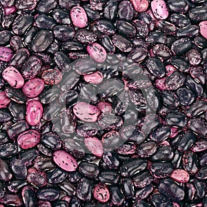 Background from kidney beans