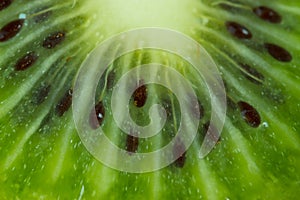 Background with kiwi macro