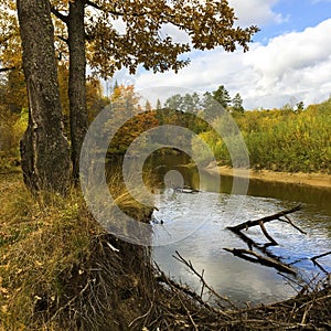 background landscape beautiful view of the forest and forest river in October
