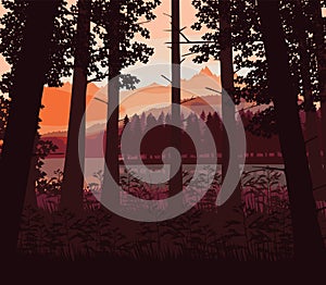 Background of landscape with river, deep forest and mountains.