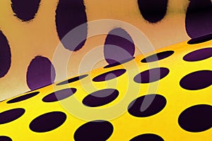 A background of large black dots on yellow paper.