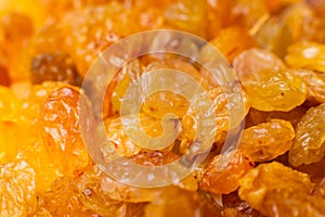 Background of a large number of dried yellow golden grapes. Raisin. Vegetarian diet