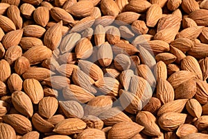 Background of large raw peeled almonds. Raw and whole dried nuts