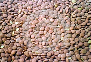 background of lentils, a legume source of iron, protein and fiber. Overhead shot photo