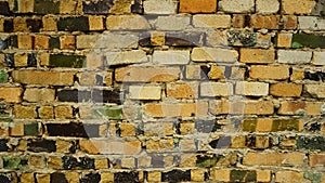 Background: light yellow brick wall.