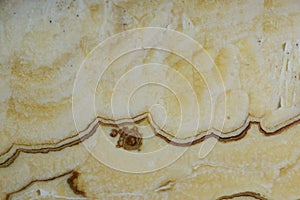 Background from a light yellow natural stone Onyx with bubbles and stains on the surface is called Onice Arco Iris photo