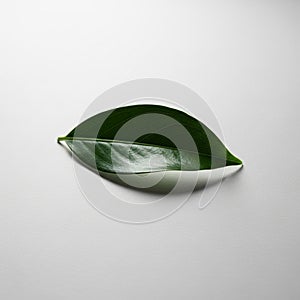 Background, and the lighting creates soft shadows that empha