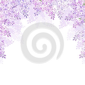 Background with lilac flowers. Vector illustration.