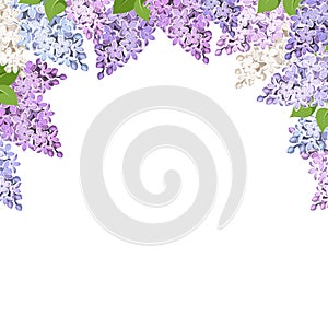 Background with lilac flowers. Vector illustration.