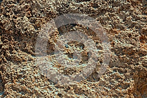 Background, limestone texture, stone shell.