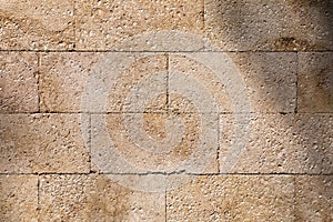 Background, limestone wall texture, shell rock blocks.